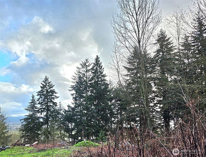 4th image of 21211 35th Avenue S