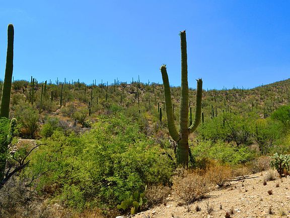 4th image of 5555 N Sabino Highlands Pl