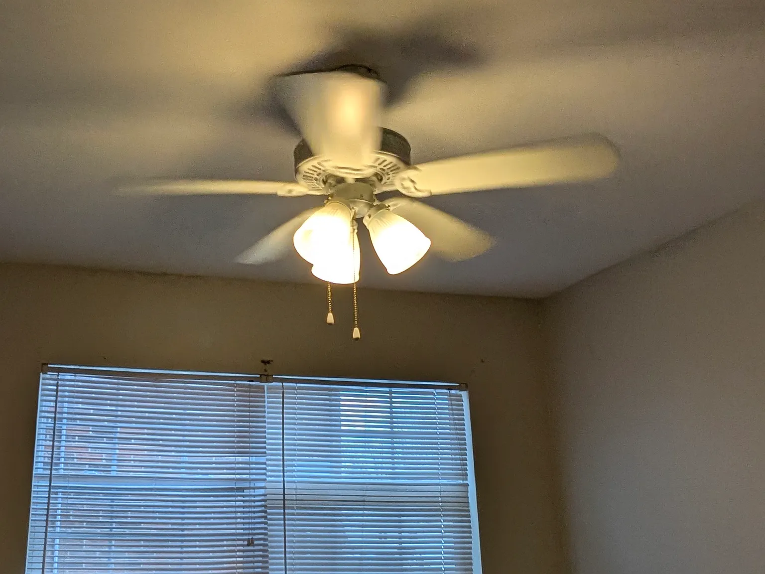 1 bed, 550 sqft, $705 — Photo 2