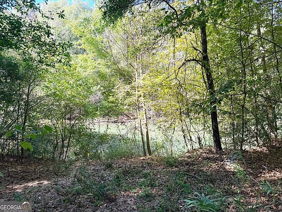 3rd image of 0 Towaliga South Rd
