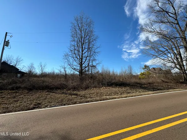 0 Baldwin Rd S #8, Lake Cormorant, MS 38641