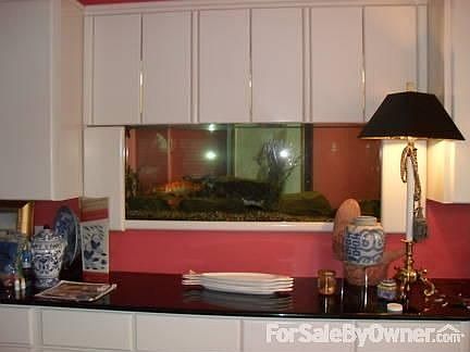 Custom In Wall Aquarium