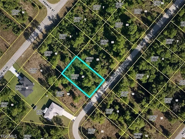 350 Mangonia Ave, Lehigh Acres, FL 33974