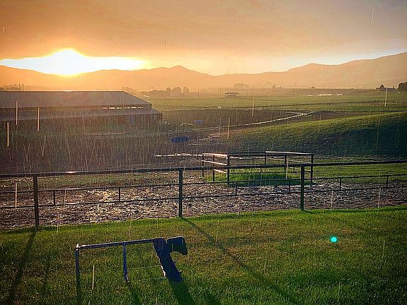 5th image of 34761 Sod Farm Rd