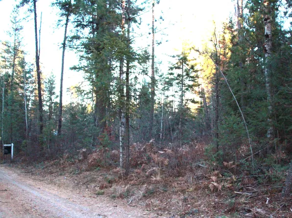 Forest Ln, Newport, WA 99156