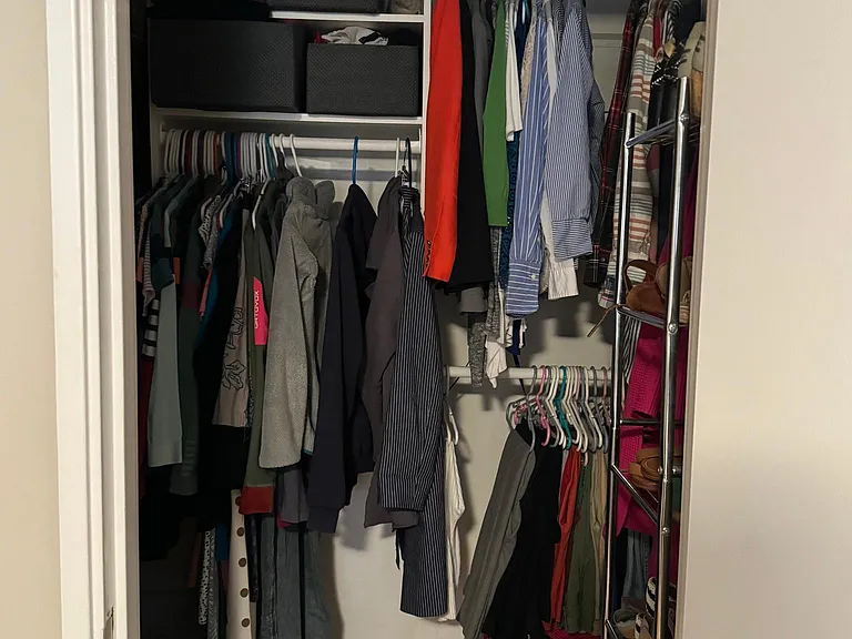 bedroom walk in closet