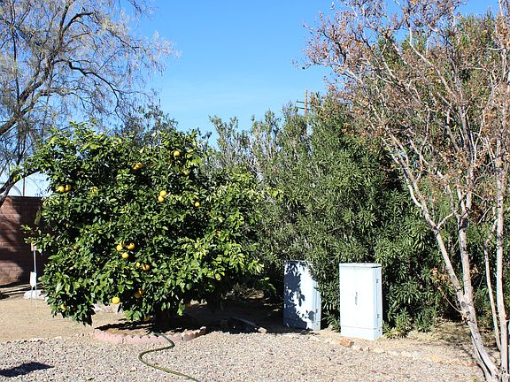4th image of 1344 Desert Meadows Cr