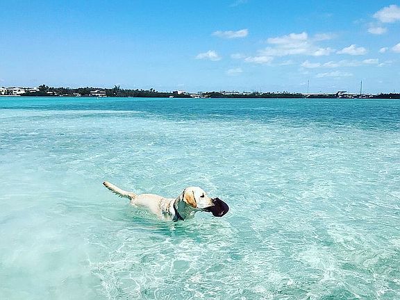 minutes from the sandbar