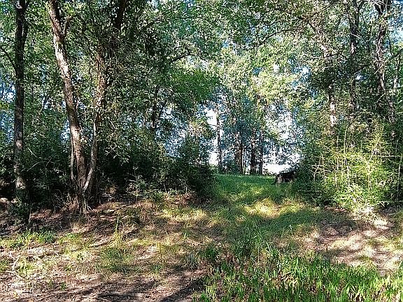 Area towards other 5 acres 