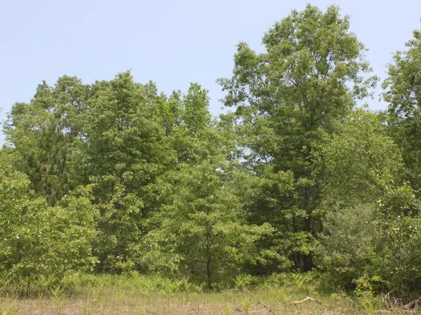PARCEL Airport Rd #H, Wellston, MI 49689