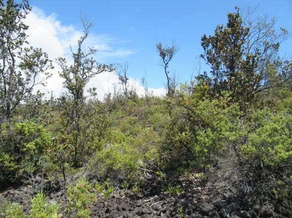 Mahimahi Dr Lot 31, Ocean View, HI 96737