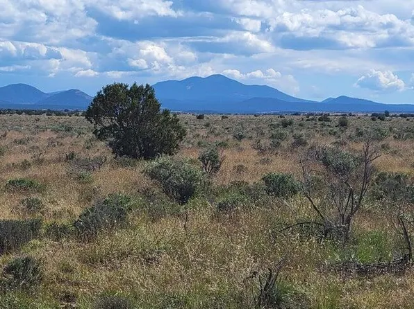 2097 Page Dr, Williams, AZ 86046