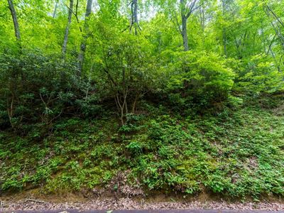 LOT 11 Zurich Rd, Gatlinburg, TN, 37738