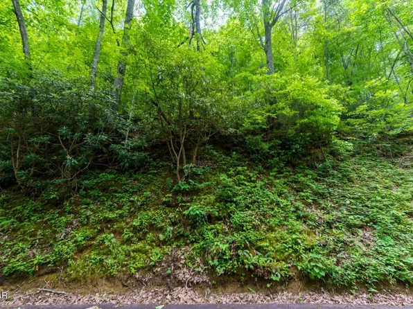 LOT 11 Zurich Rd, Gatlinburg, TN 37738