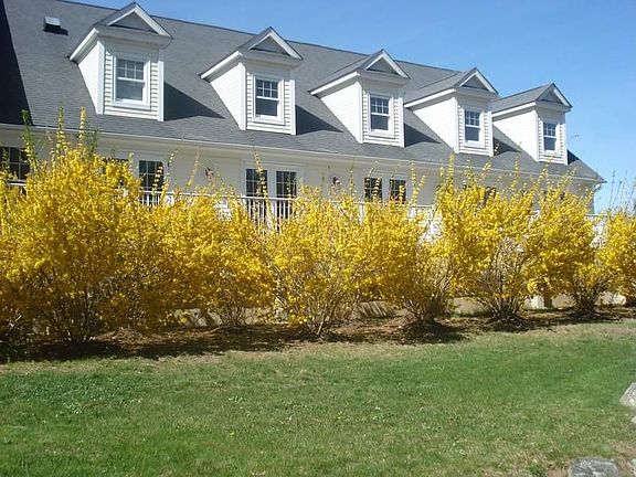 River Oaks Community