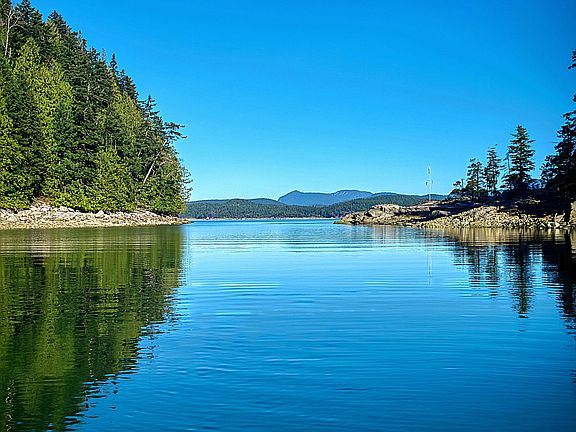 11th image of this home