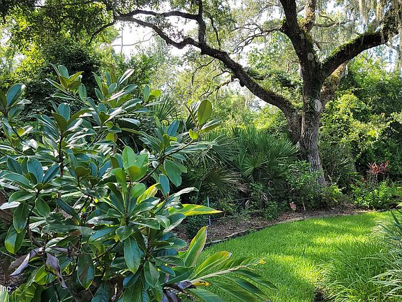 4th image of 121 MAGNOLIA HAMMOCK Drive
