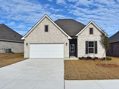 159 Hydrangea Blvd, Freeport, FL, 32439