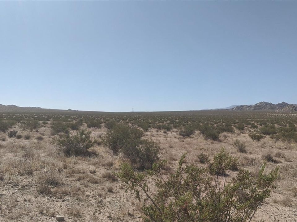 2nd image of Amber Rd