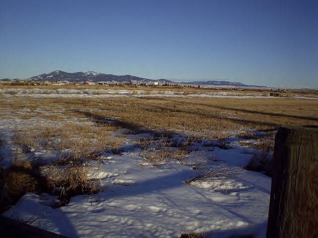 2nd image of 1601 Golden Eagle Dr