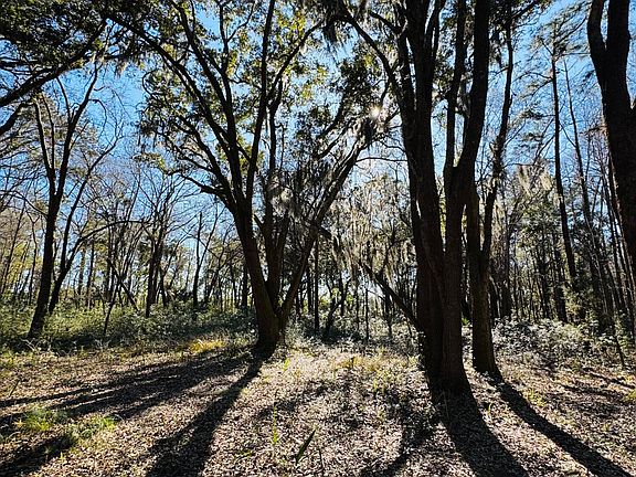 2nd image of 0 Rosa Scott Rd