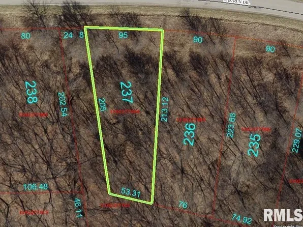 7237 Oak Run Dr, Dahinda, IL 61428