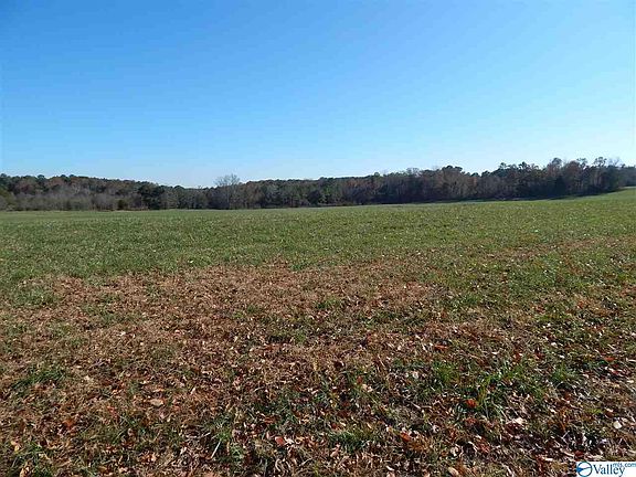 2nd image of 4488 County Road 81 #D