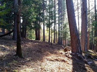 5580 Shooting Star Rd, Pollock Pines, CA 95726