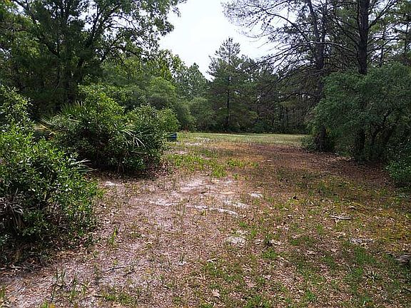 backyard2
