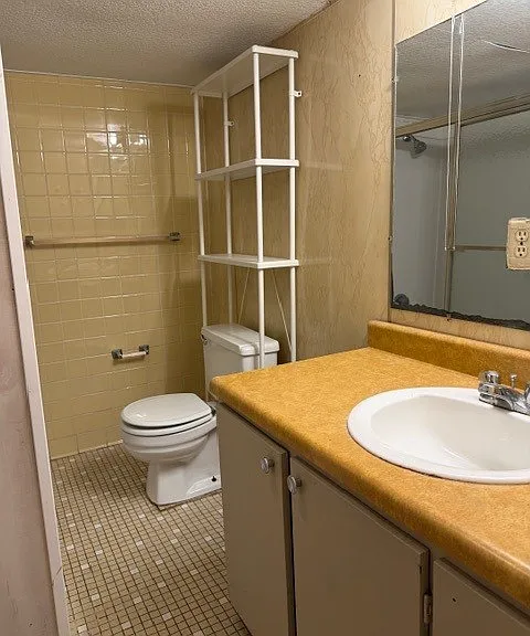 Lower level bathroom
