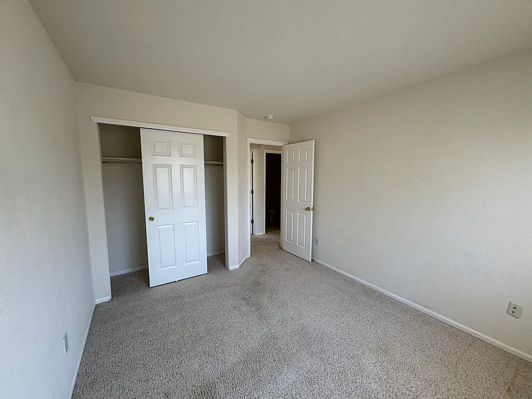 923 Grays Peak Dr — Photo 75