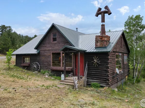 190 Clarabell Ln, Allenspark, CO 80510