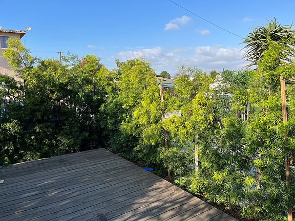 Podocarpus hedges surround the Brazilian teakwood deck in front, creating a private oasis just outside the kitchen. 
Fruiting apple, lemon, and lime trees line the other side.