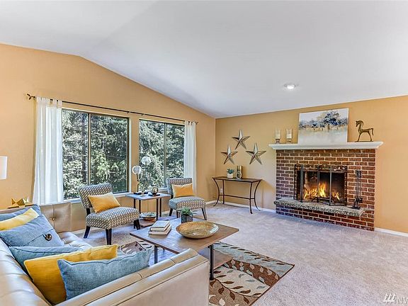Green backdrops through every window. 
