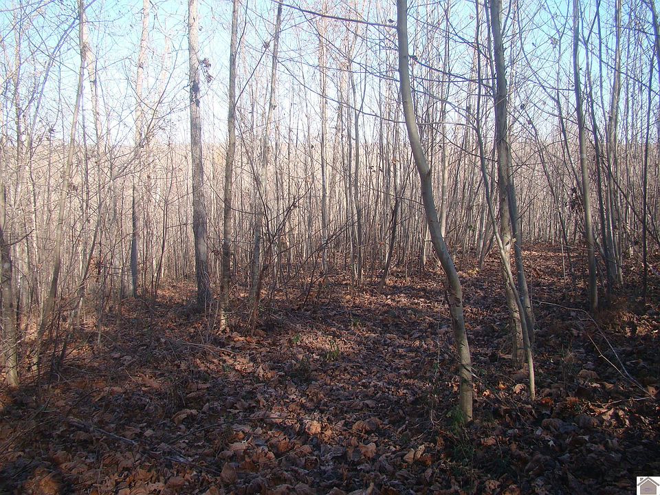 1st image of 125 Jackson Ter