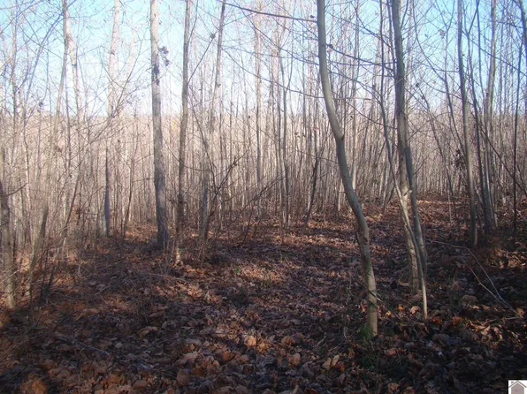 125 Jackson Ter, Cadiz, KY 42211