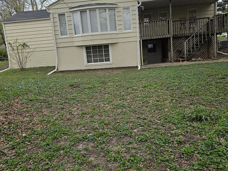 Big fenced yard