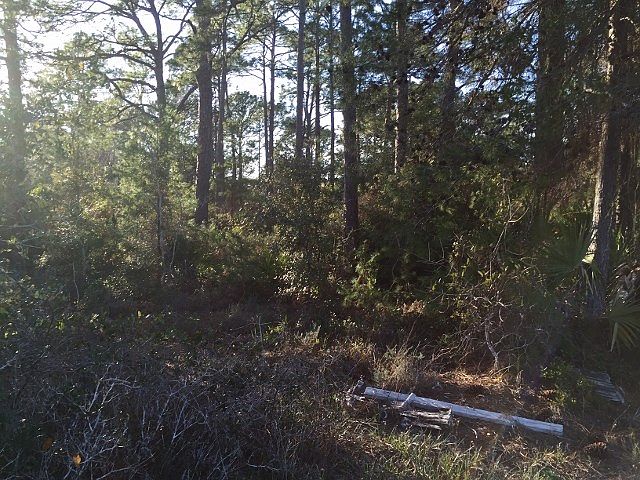 2nd image of 381 River Rd