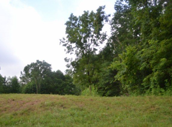4th image of 23/AC Pea Ridge Fire Tower Rd