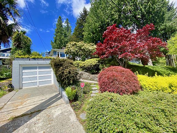 Street view of house