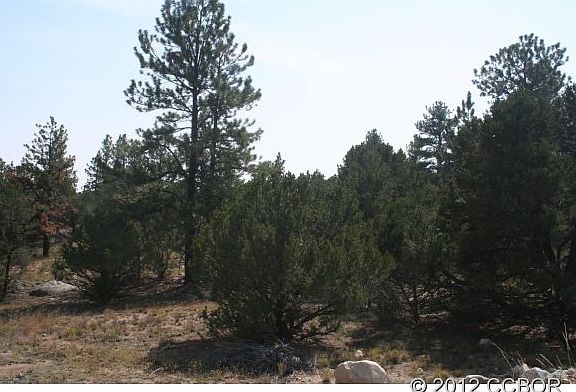 2nd image of 30160 Princeton Cir