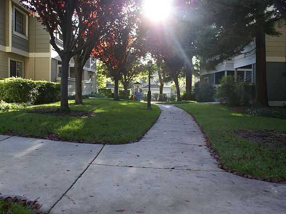 5th image of 2671 Somerset Park Cir