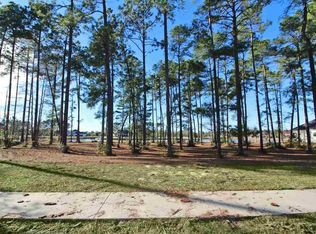 1437 Whooping Crane Dr LOT 92, Conway, SC 29526