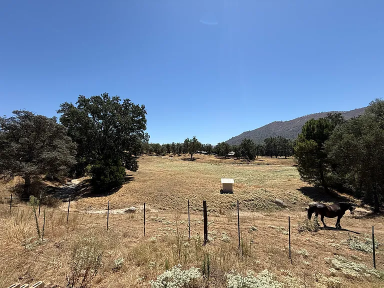 34764 Wiemiller Rd — Photo 12