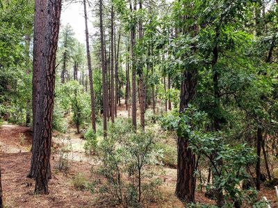 PARCEL Navajo & Kysar Way #C, Pine, AZ, 85544