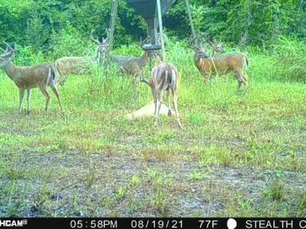 Mol Redwood Ms, Redwood, MS 39156