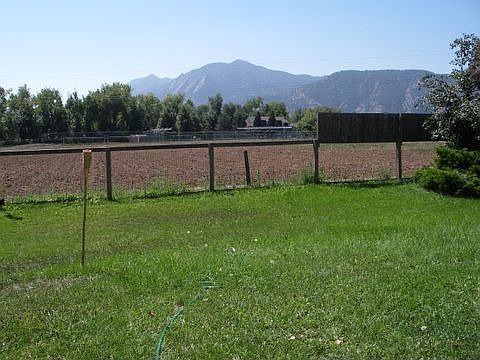 back yard