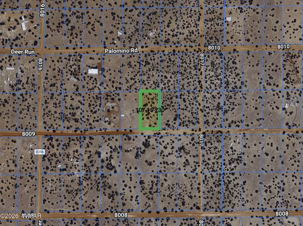 61 County Rd, Concho, AZ 85924