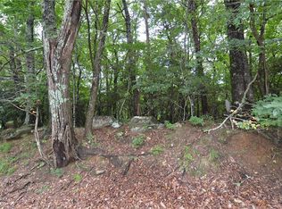 5134 Buckskull Ct LOT 5134, Jasper, GA