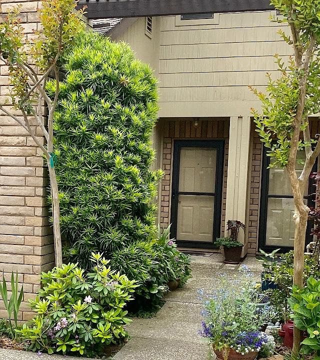 Entry way